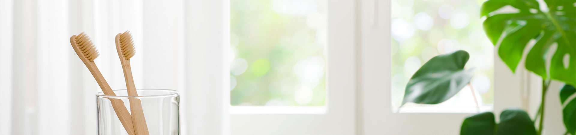 banner-column_2501